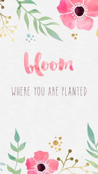 置かれた場所で咲き誇れ - Bloom where you are planted