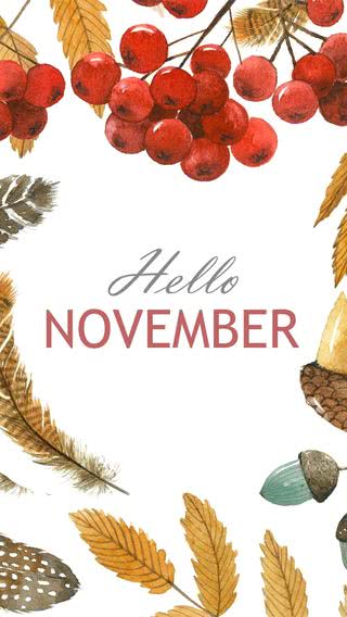 Hello November