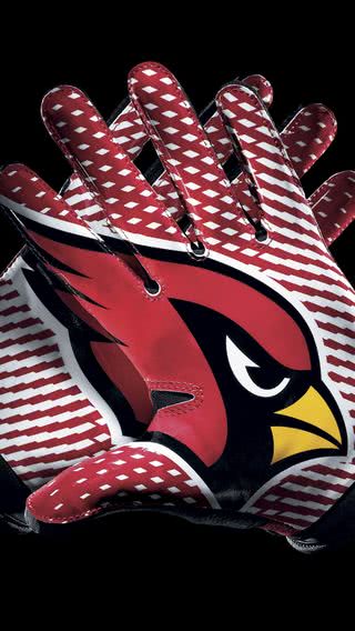 Arizona Cardinals | NFL