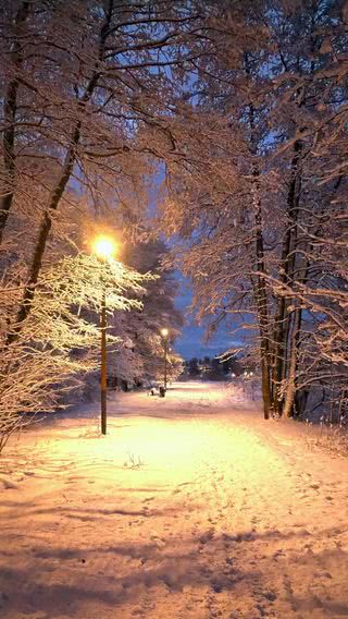 【7位】雪夜