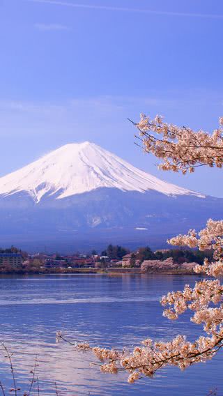 富士山