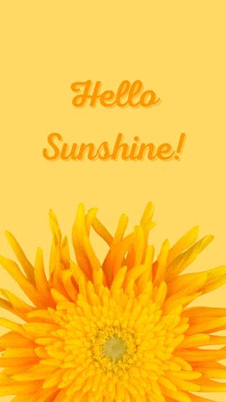 Hello Sunshine!