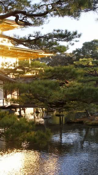 京都 - 金閣寺