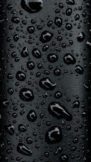 Wet Black