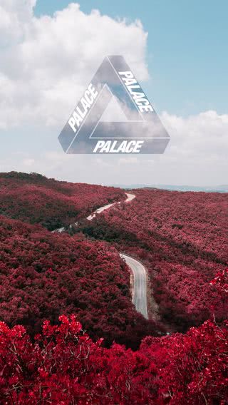 Palace Skateboards