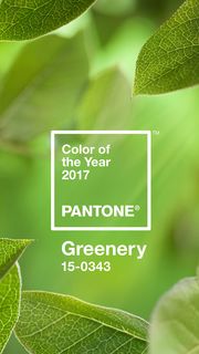 PANTONE（グリーン）