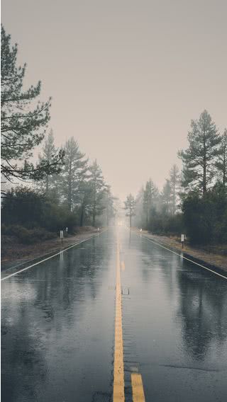 雨の道路