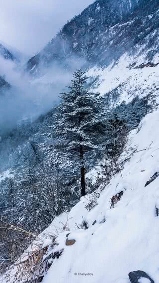 雪山