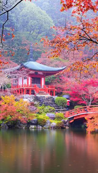 京都 醍醐寺