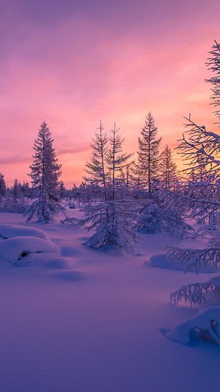 雪原の夕暮れ