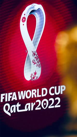 FIFAワールドカップ 2022 カタール