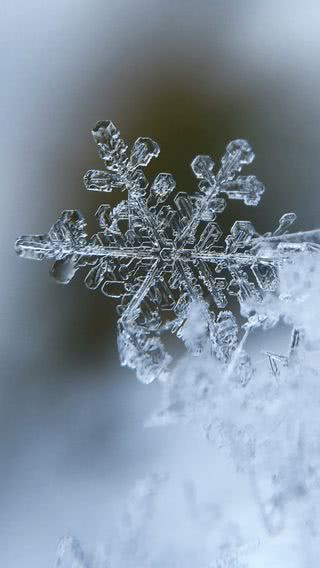 雪の結晶