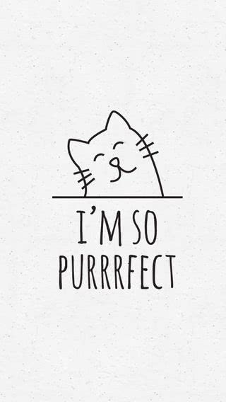 I'M SO PURRRFECT