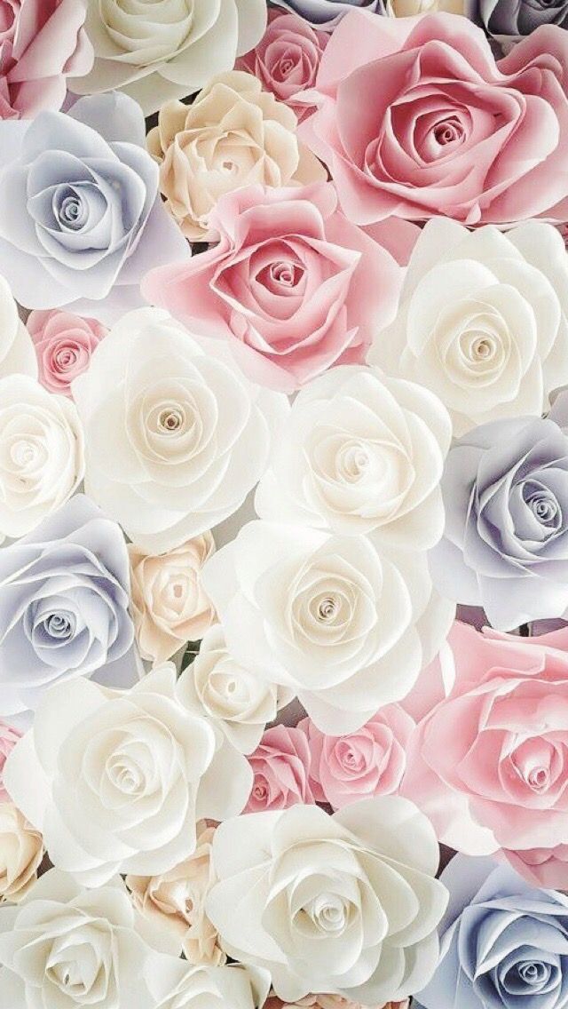 すべての美しい花の画像 50 素晴らしい白い 薔薇 待ち受け 画像