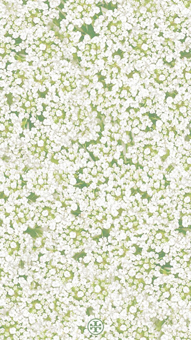真っ白な花模様 スマホ壁紙 Iphone待受画像ギャラリー