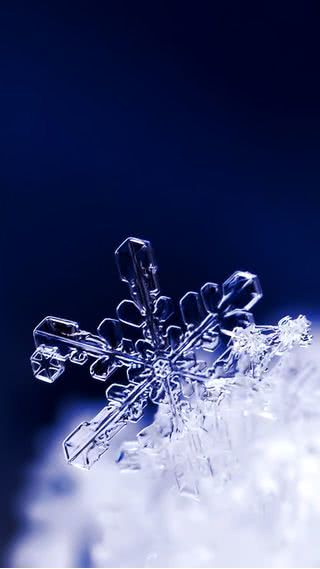 【97位】雪の結晶