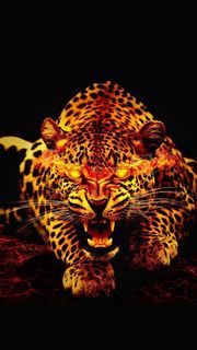 豹 | 動物のiPhone壁紙