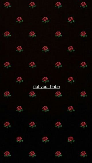 not your babe
