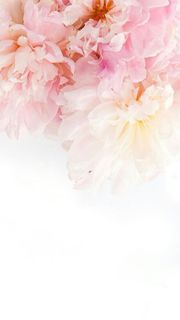 【56位】花のグラデーション