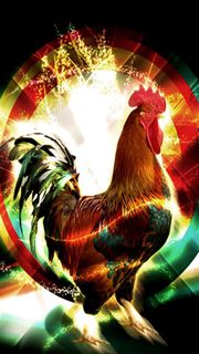 鶏 | 動物のiPhone壁紙