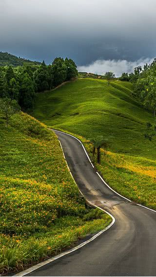 山の道路