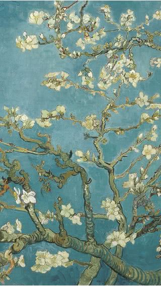 ゴッホ - 花咲くアーモンドの木の枝