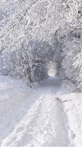 雪道