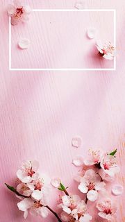 桜 | 春のオシャレなiPhone壁紙