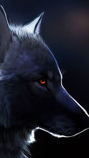 オオカミ | 動物のスマホ壁紙