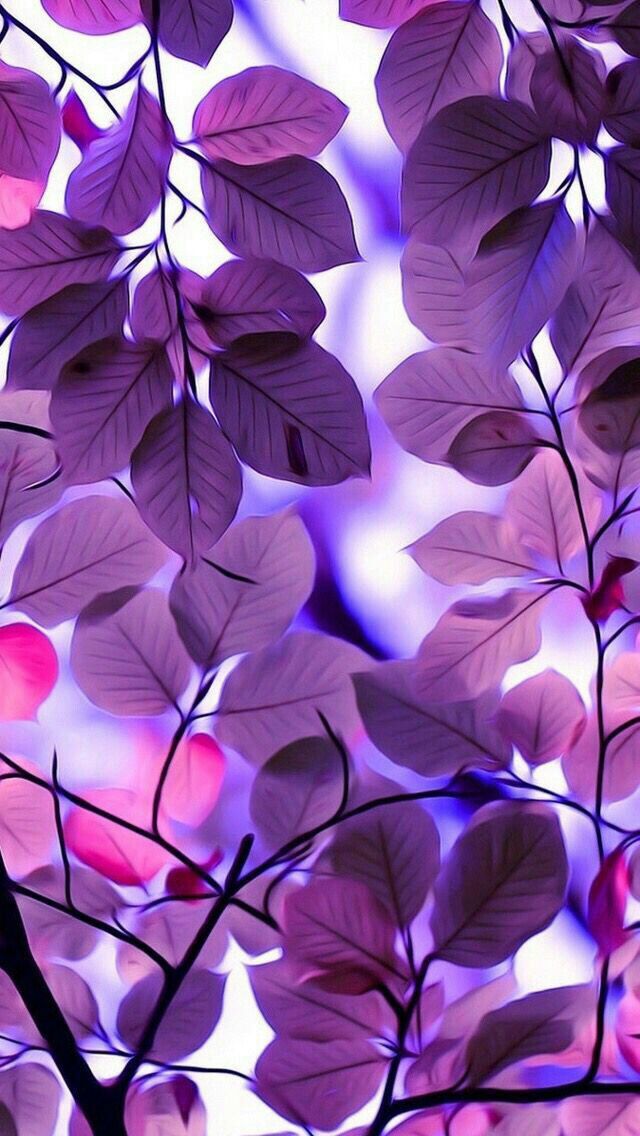 紫の葉っぱ スマホ壁紙 Iphone待受画像ギャラリー