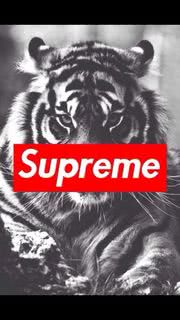 Supreme（虎）