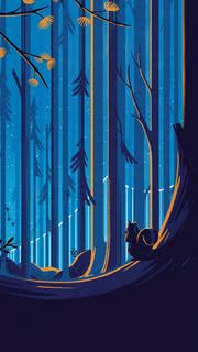夜の森のリス