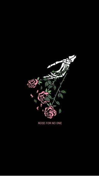Rose for No One