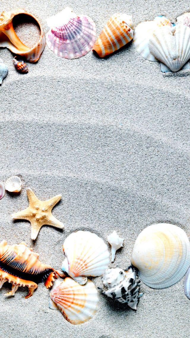 砂浜の貝殻 スマホ壁紙 Iphone待受画像ギャラリー