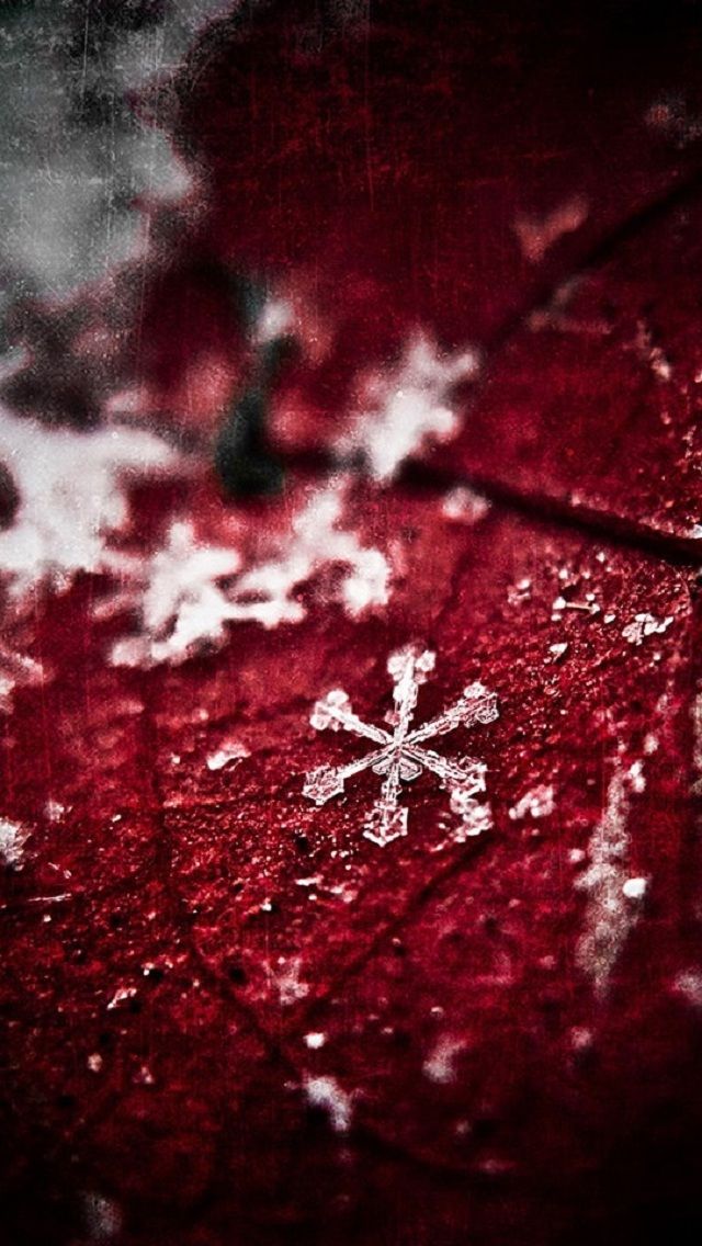 雪の結晶 赤背景 スマホ壁紙 Iphone待受画像ギャラリー