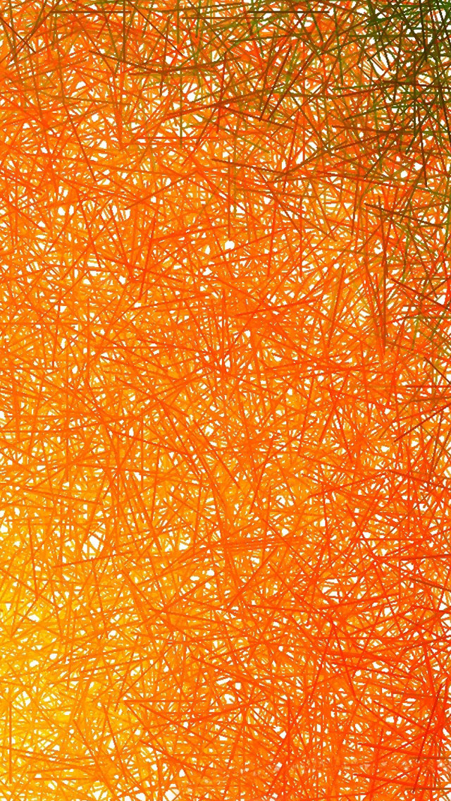 綺麗なオレンジ 壁紙 Iphone 美しい花の画像
