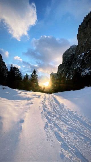 雪原