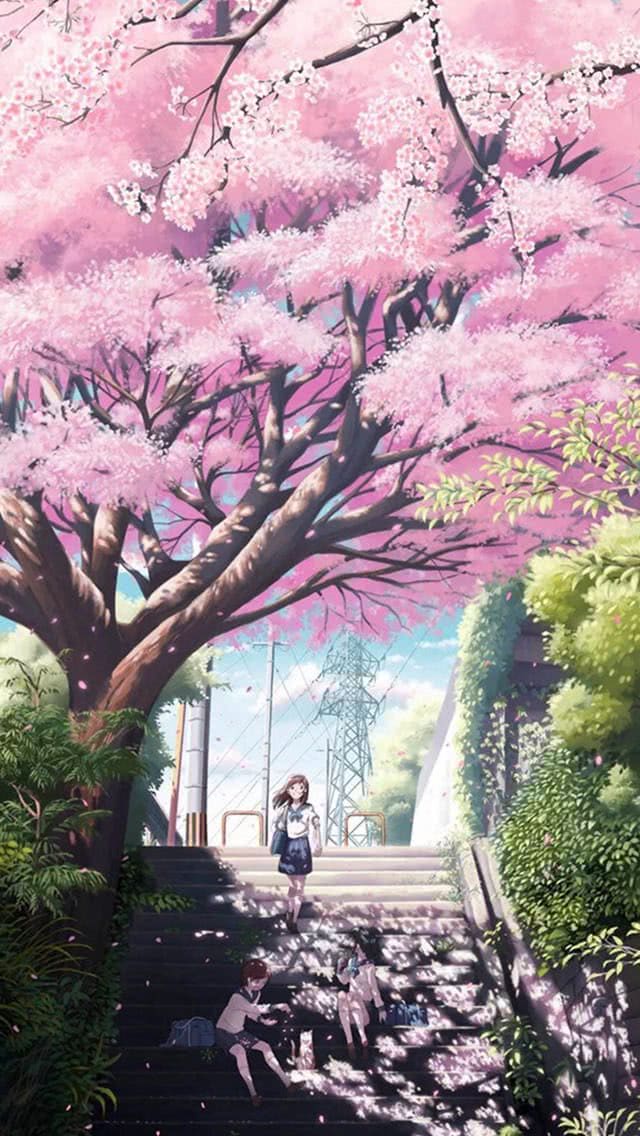 桜のイラスト スマホ壁紙 Iphone待受画像ギャラリー