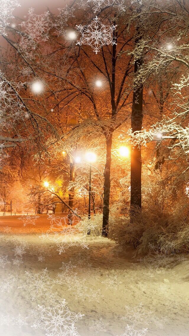 冬の夜の公園 スマホ壁紙 Iphone待受画像ギャラリー