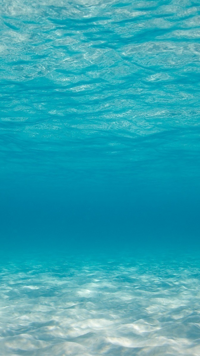 人気187位 透き通った海の中 夏っぽいiphone壁紙 スマホ壁紙 Iphone待受画像ギャラリー