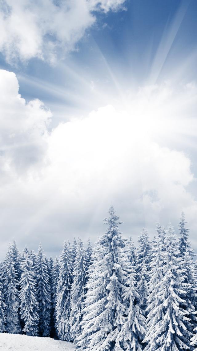 Bright Winter Day Landscape Wallpaper Iphone 5で使える1136x640サイズの壁紙画像 スマホ 壁紙 Iphone待受画像ギャラリー