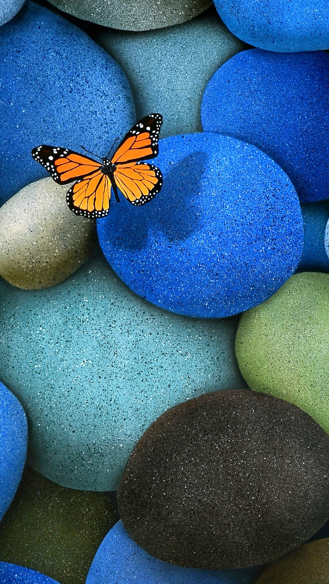 Butterfly Iphone 5 Wallpaper Hd スマホ壁紙 Iphone待受画像ギャラリー