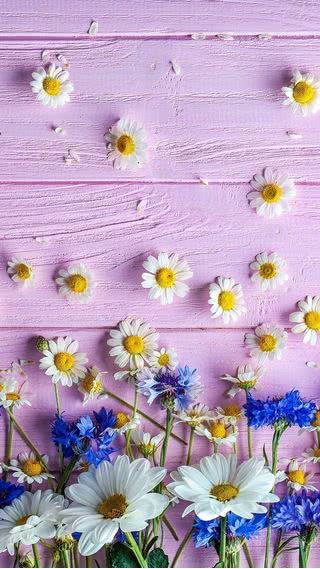 驚くばかり壁紙 Iphone 花 最高の花の画像