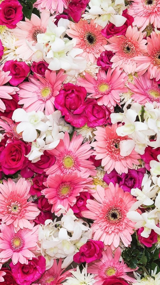 人気106位 華やかなピンクの花たち スマホ壁紙 Iphone待受画像ギャラリー
