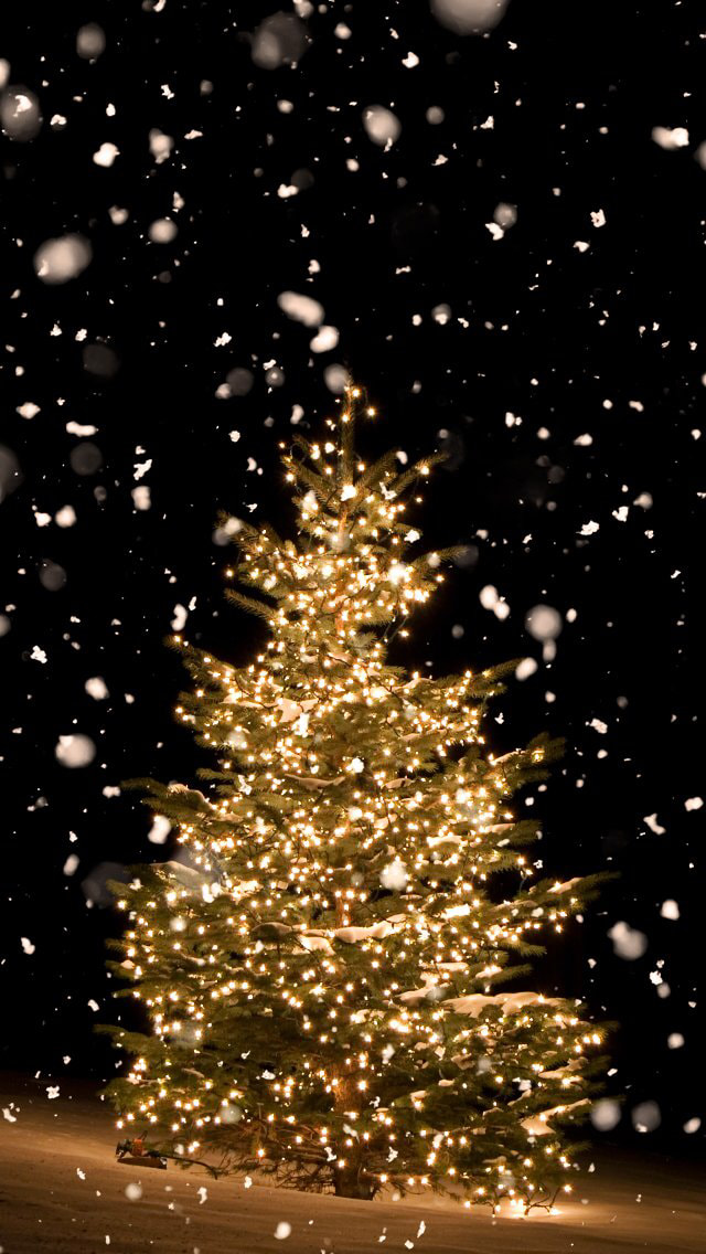 人気172位 夜に輝くクリスマスツリー スマホ壁紙 Iphone待受画像ギャラリー