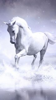 白い馬 | 動物のiPhone壁紙