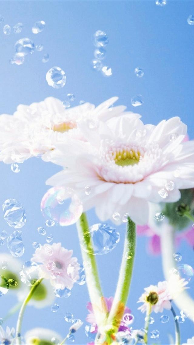 かわいい花とシャボン玉 スマホ壁紙 Iphone待受画像ギャラリー