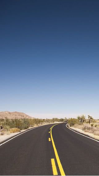 荒野の道路