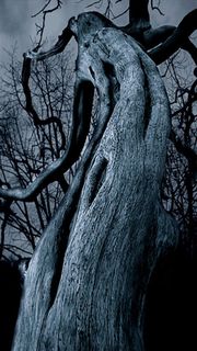 Dark tree