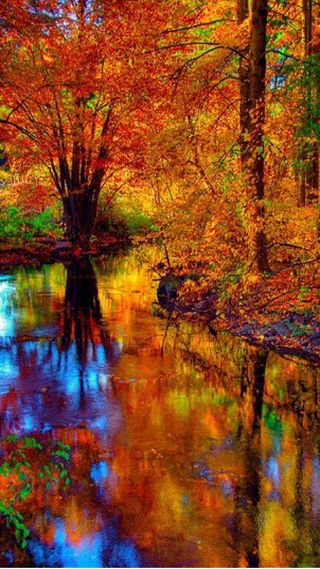 秋の水辺